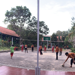 Volly